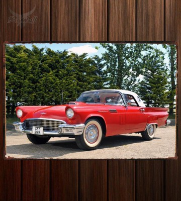 Металлическая табличка Ford Thunderbird 312